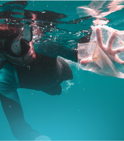 Diving helps to save ocean